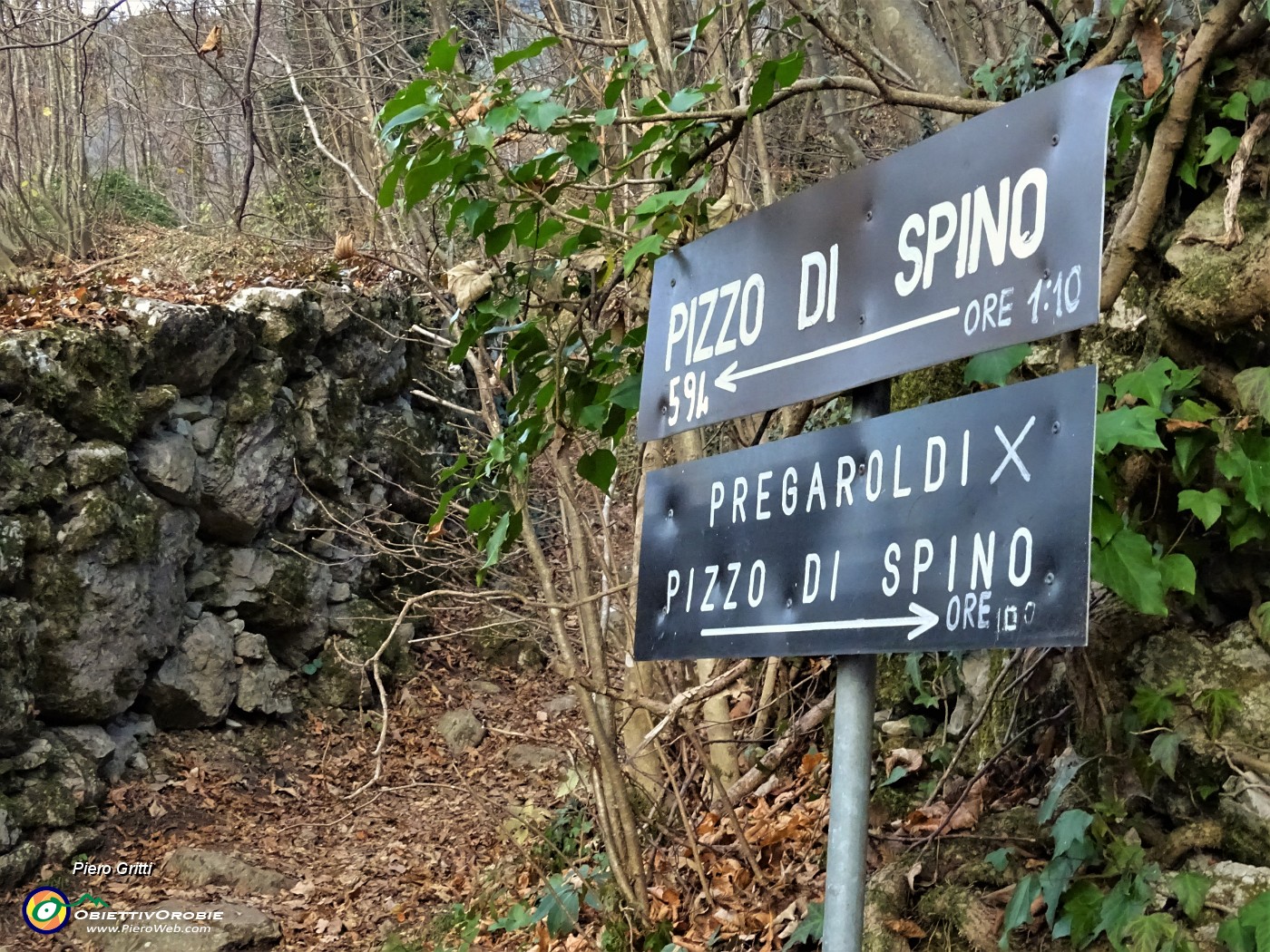 94 A questo punto, salito dal sent. 594 di sx, rientro da quello di dx, chiudendo l'anello della cima del Pizzo di Spino.JPG